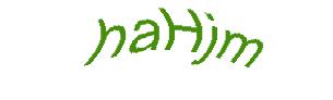 عبارت امنیتی