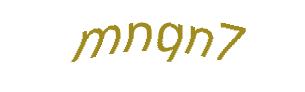 عبارت امنیتی