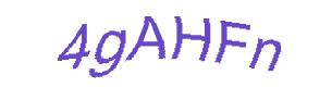 عبارت امنیتی