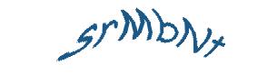 عبارت امنیتی