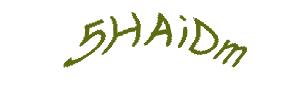 عبارت امنیتی