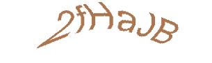 عبارت امنیتی
