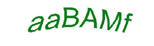 عبارت امنیتی