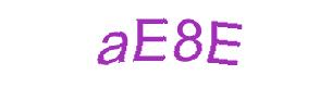 عبارت امنیتی