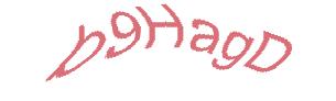 عبارت امنیتی