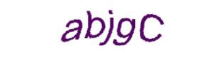 عبارت امنیتی