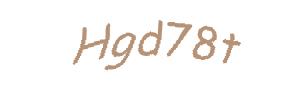 عبارت امنیتی