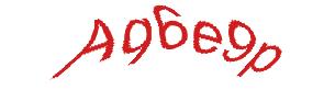 عبارت امنیتی