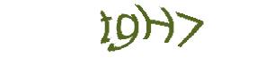 عبارت امنیتی