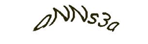 عبارت امنیتی