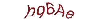 عبارت امنیتی