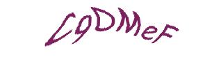 عبارت امنیتی