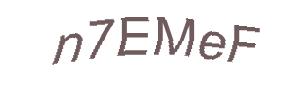 عبارت امنیتی