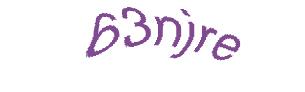 عبارت امنیتی