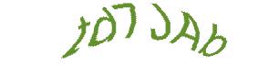 عبارت امنیتی