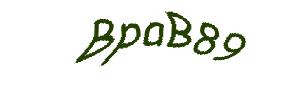 عبارت امنیتی
