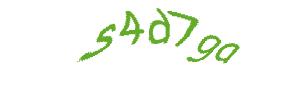 عبارت امنیتی