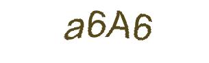 عبارت امنیتی