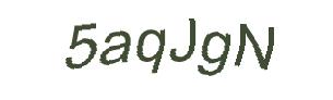 عبارت امنیتی