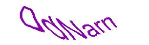 عبارت امنیتی