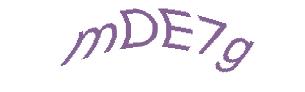عبارت امنیتی