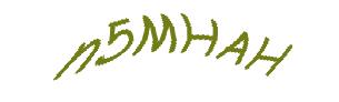 عبارت امنیتی