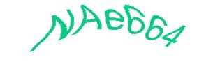 عبارت امنیتی