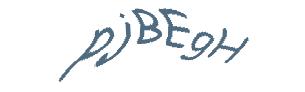 عبارت امنیتی