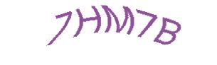 عبارت امنیتی