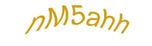 عبارت امنیتی