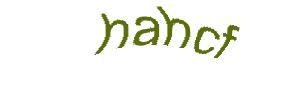 عبارت امنیتی