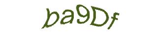 عبارت امنیتی