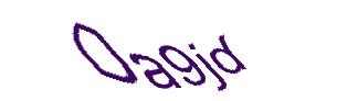 عبارت امنیتی