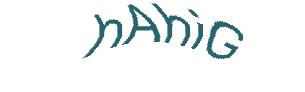 عبارت امنیتی