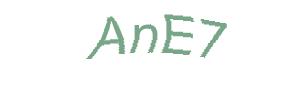 عبارت امنیتی