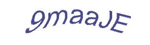 عبارت امنیتی