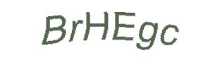 عبارت امنیتی