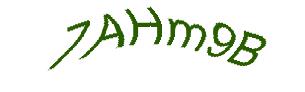 عبارت امنیتی