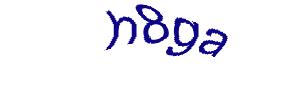 عبارت امنیتی