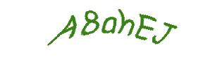 عبارت امنیتی