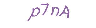 عبارت امنیتی