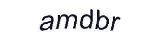 عبارت امنیتی