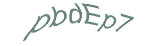 عبارت امنیتی