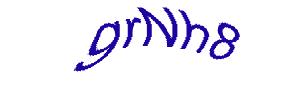 عبارت امنیتی