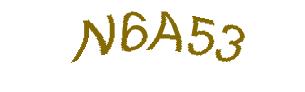 عبارت امنیتی