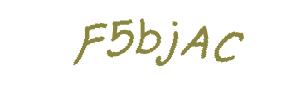 عبارت امنیتی