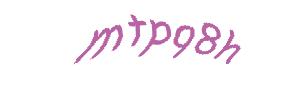 عبارت امنیتی
