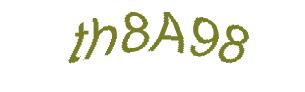عبارت امنیتی
