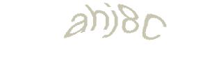 عبارت امنیتی