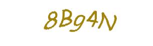 عبارت امنیتی